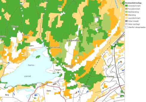 artskart Oversikt over dominerende treslag i nærområdet