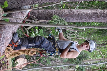 Arborist Ben fra Irland
