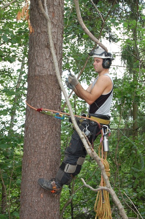 DSC_0011 Ben i steget