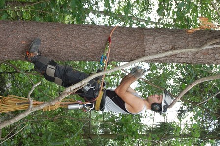 DSC_0011 Ben i steget