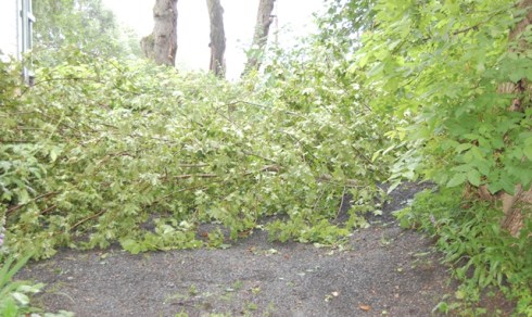 Kvist klar til transport