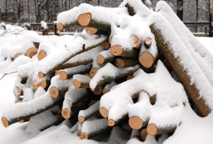 Noen juletimers produksjon